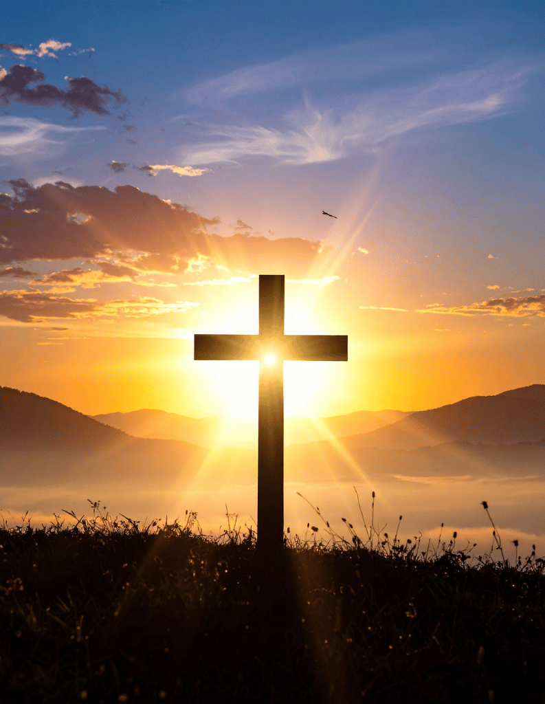 Direct aan de slag met een persoonlijk herstelplan. Flexibele coaching (thuis, op locatie of online) op basis van de Minnesota-methode.