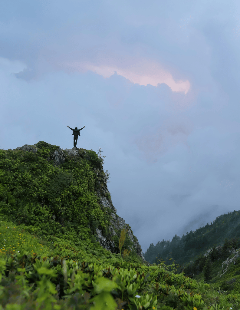 Leer duurzaam herstellen met persoonlijke coaching en de structuur van het 12-Stappen programma.